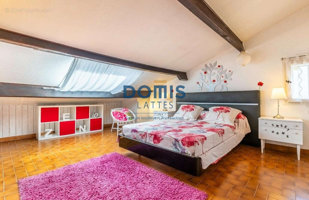 Maison à MONTPELLIER