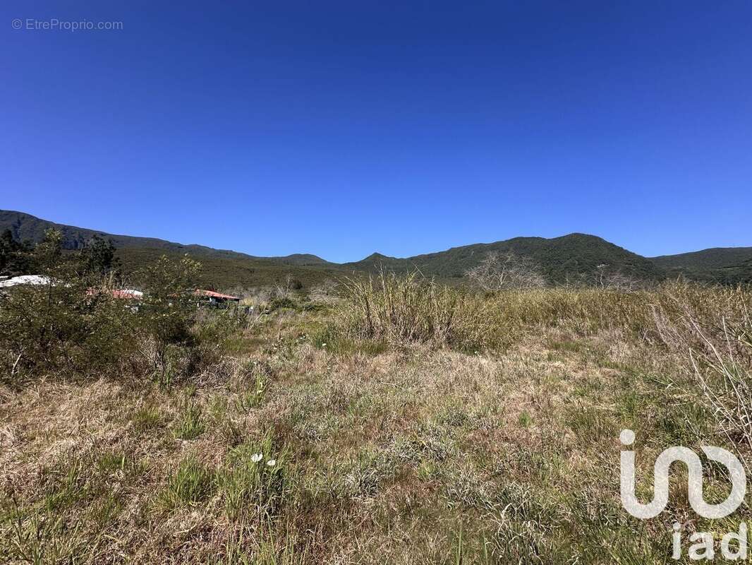 Photo 3 - Terrain à LA PLAINE-DES-PALMISTES