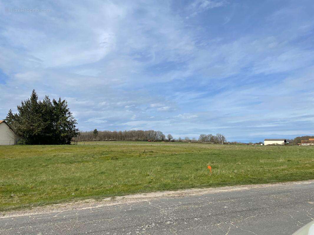 Terrain Vernou En Sologne 1500 m2 - photo 2