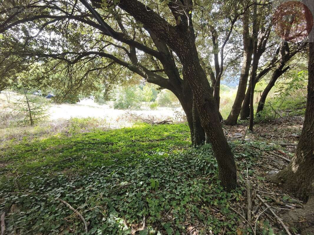 Terrain constructible de 2553m² en Cévennes Vallée Française - photo 5