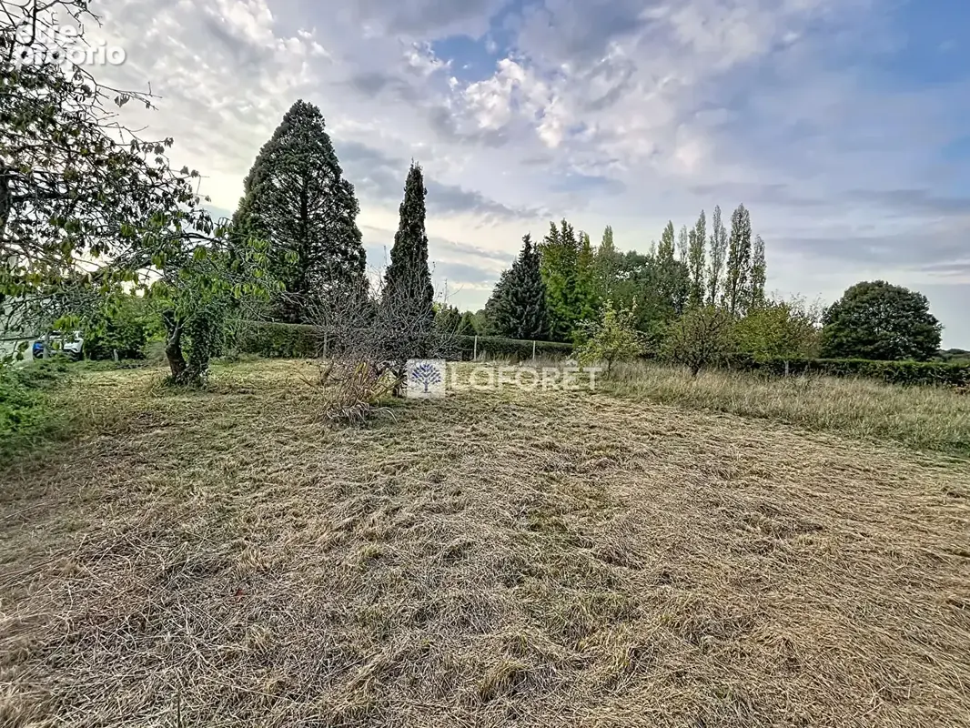 Terrain constructible - viabilisé - Saint Pardoux Soutiers - photo 2