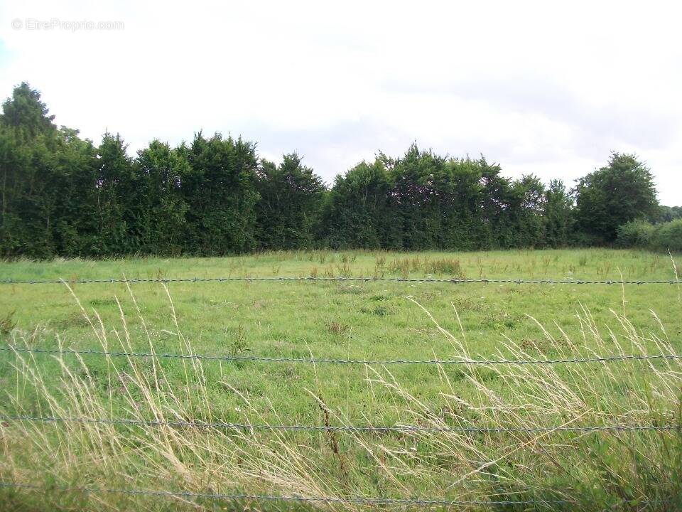 Terrain à DELINCOURT