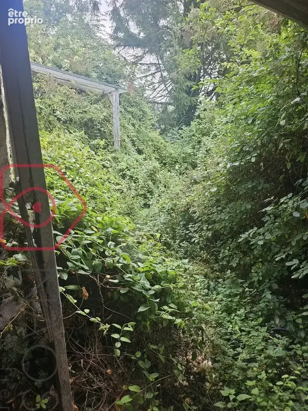 Ensemble immobilier et foncier de plus de 8 000 m²  Maison à réhabiliter & Terrain constructible et terrain agricole a 5 mns de - photo 5