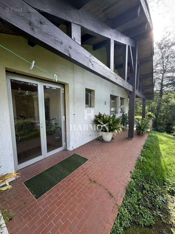 Harmon a vendre : propriété a Magescq - photo 40