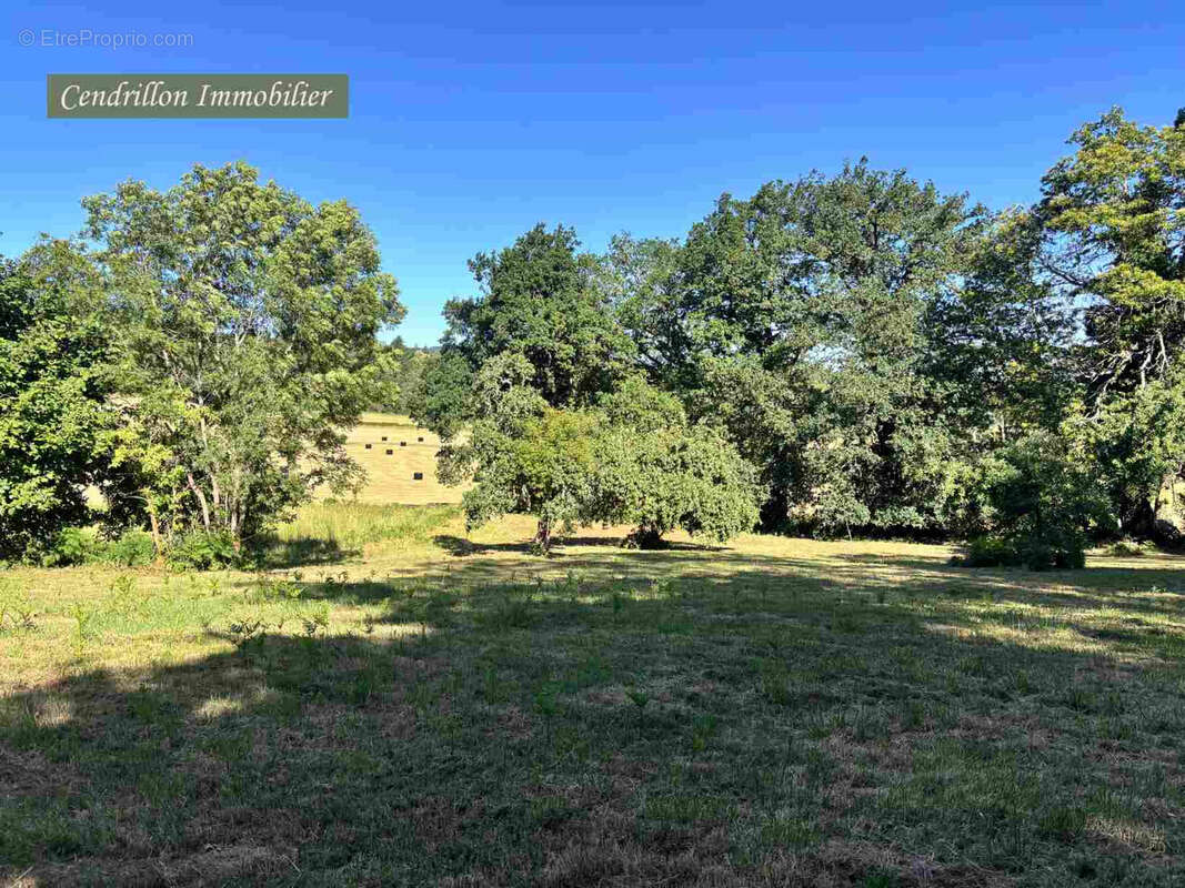 Maison en pierres 120m2, dépendances, grange et terrains, typique du bien Creusois idéal, situé dans le Parc N - photo 41