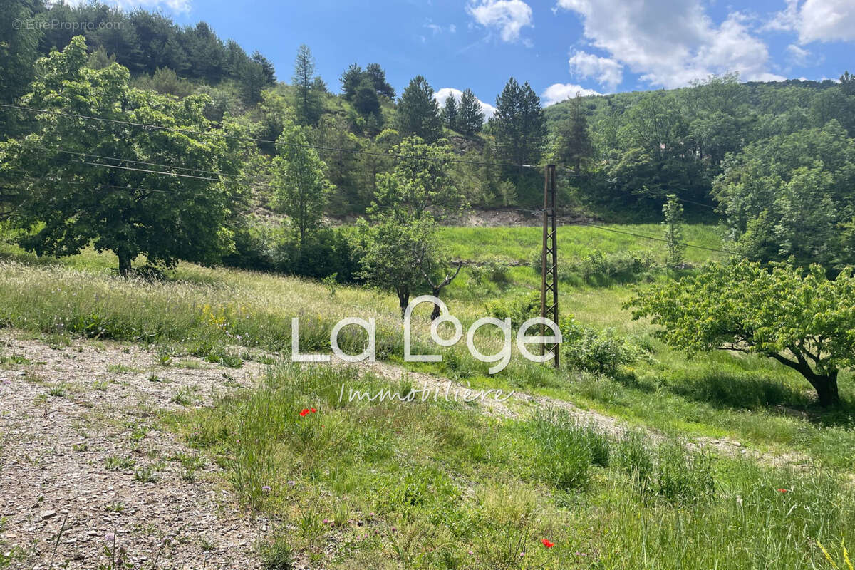 Terrain 7462 m² à Rabou  - photo 4