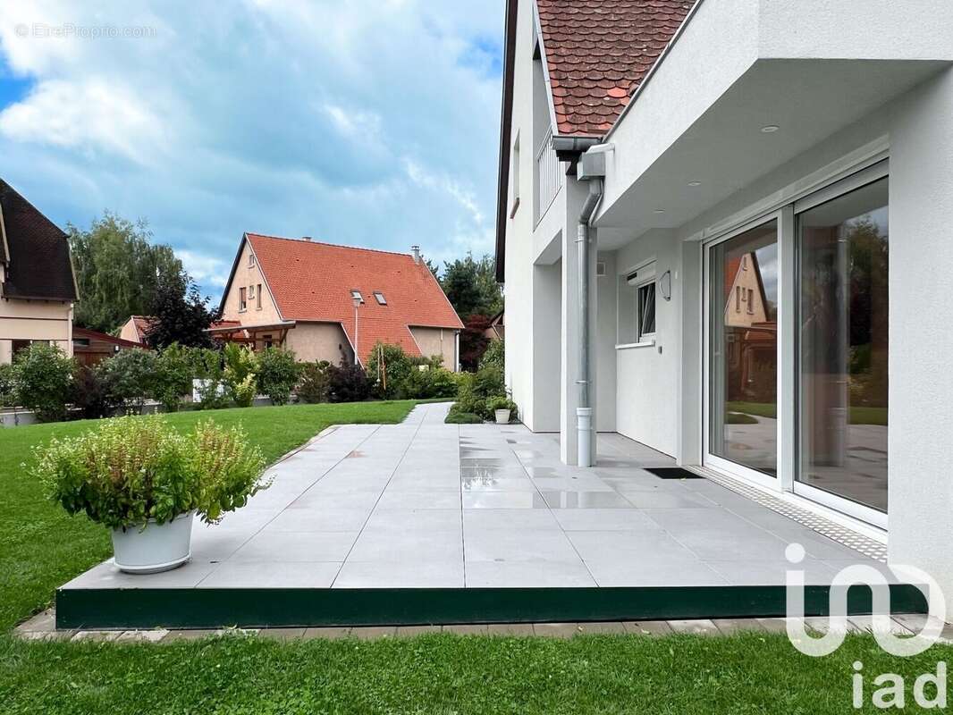 Photo 5 - Maison à RIBEAUVILLE