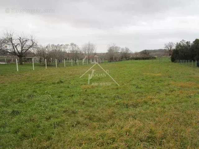 Terrain à SAINT-GERAND-LE-PUY