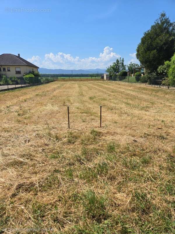 Terrain 661 m² à Sundhoffen  - photo 5