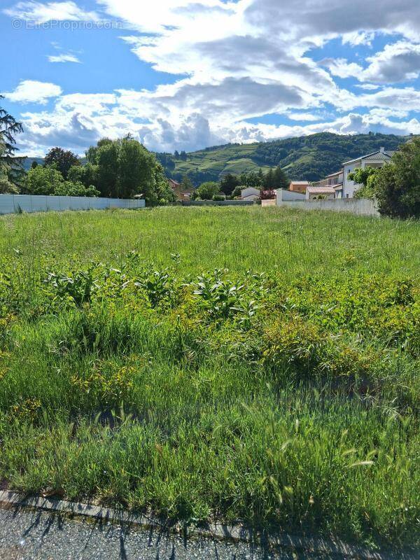 Terrain à TOURNON-SUR-RHONE