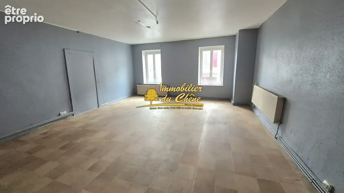 Appartement 235 m² à vendre à Saint-Sauveur (70300) - photo 3