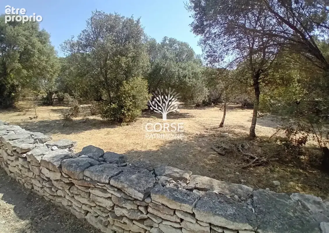 BIEN TRES RARE !!! Terrain constructible à BONIFACIO - photo 4