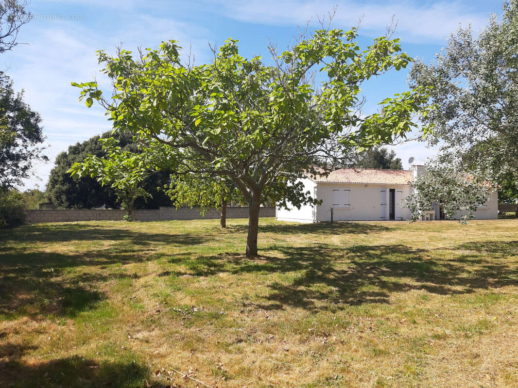 Maison à L&#039;ILE-D&#039;OLONNE