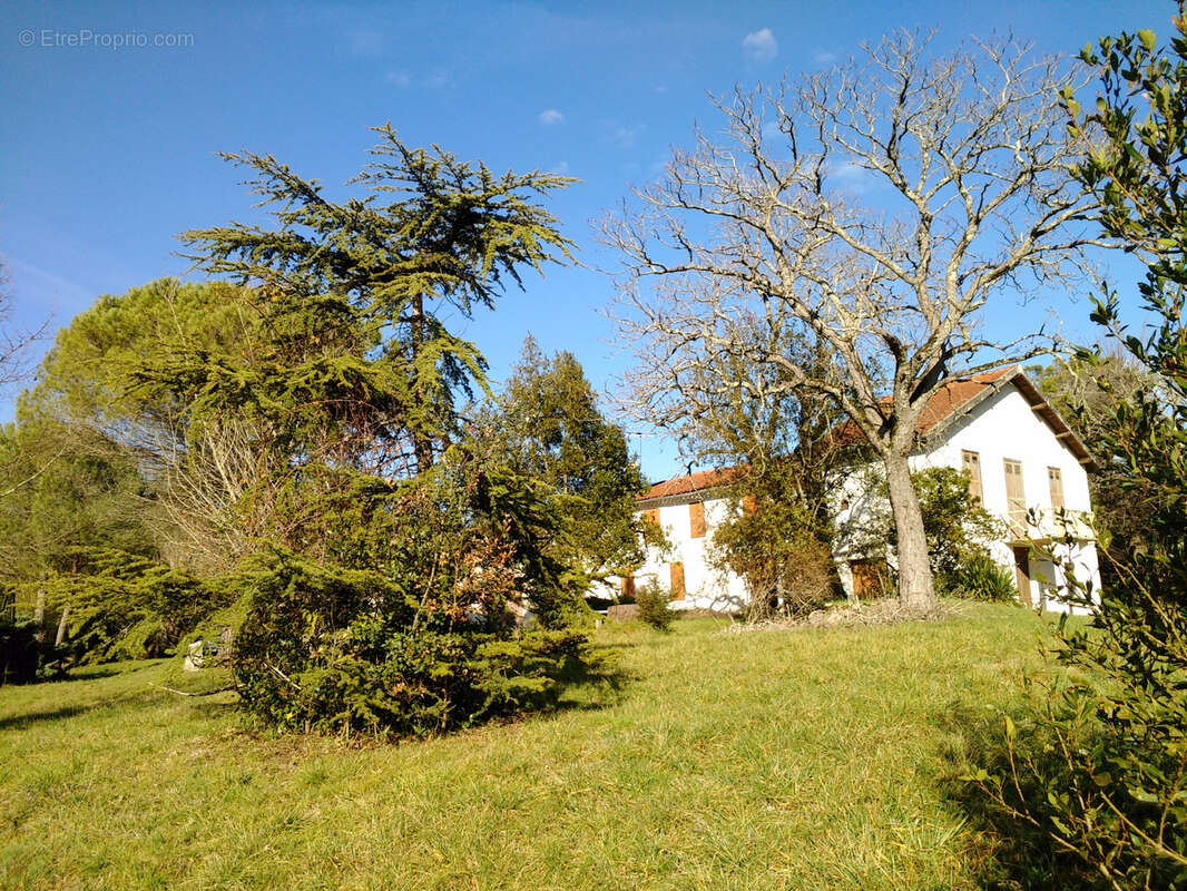 Maison à PUYLAURENS