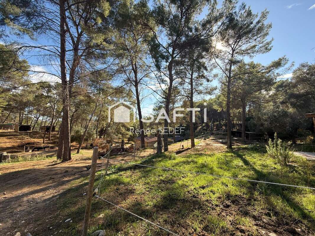 Photo 4 - Commerce à MOUGINS