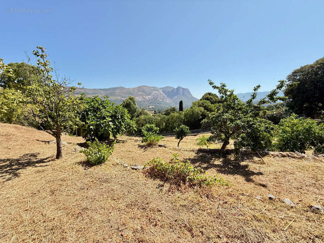 CORSE (20) commune d'ALATA : A vendre magnifique terrain à bâtir, viabilisé - photo 3