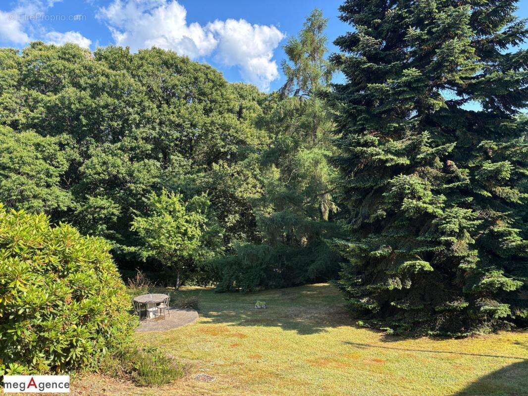 Maison familiale avec parc arboré de 1 804 m² – Entre Brive et Tulle - photo 7