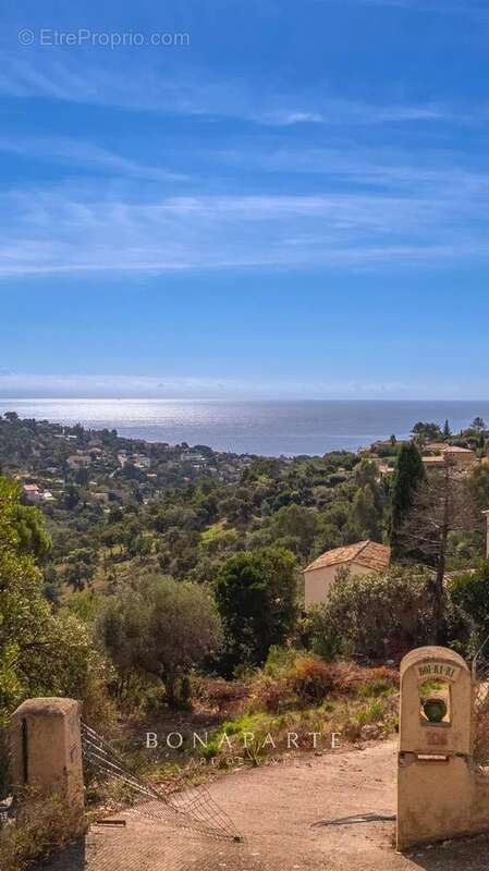 Terrain à ROQUEBRUNE-SUR-ARGENS