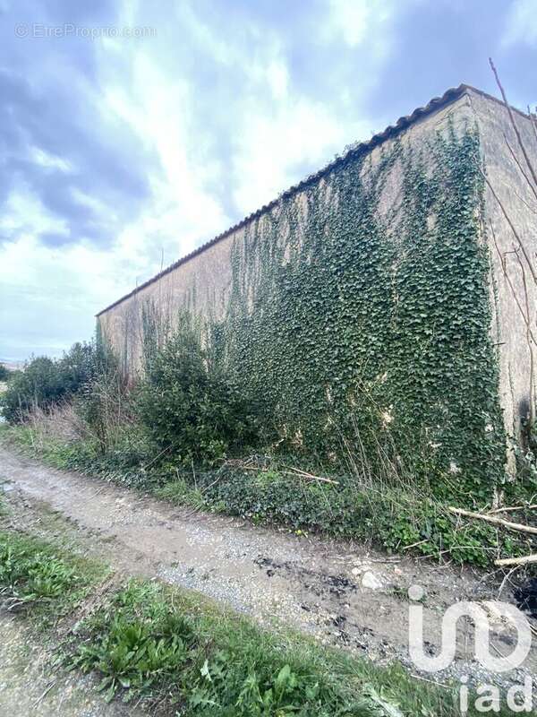 Photo 3 - Terrain à VERINES