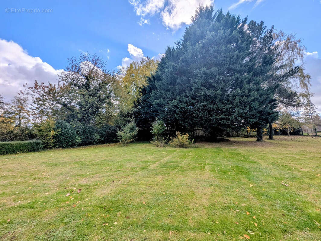 Maison à MILLY-LA-FORET