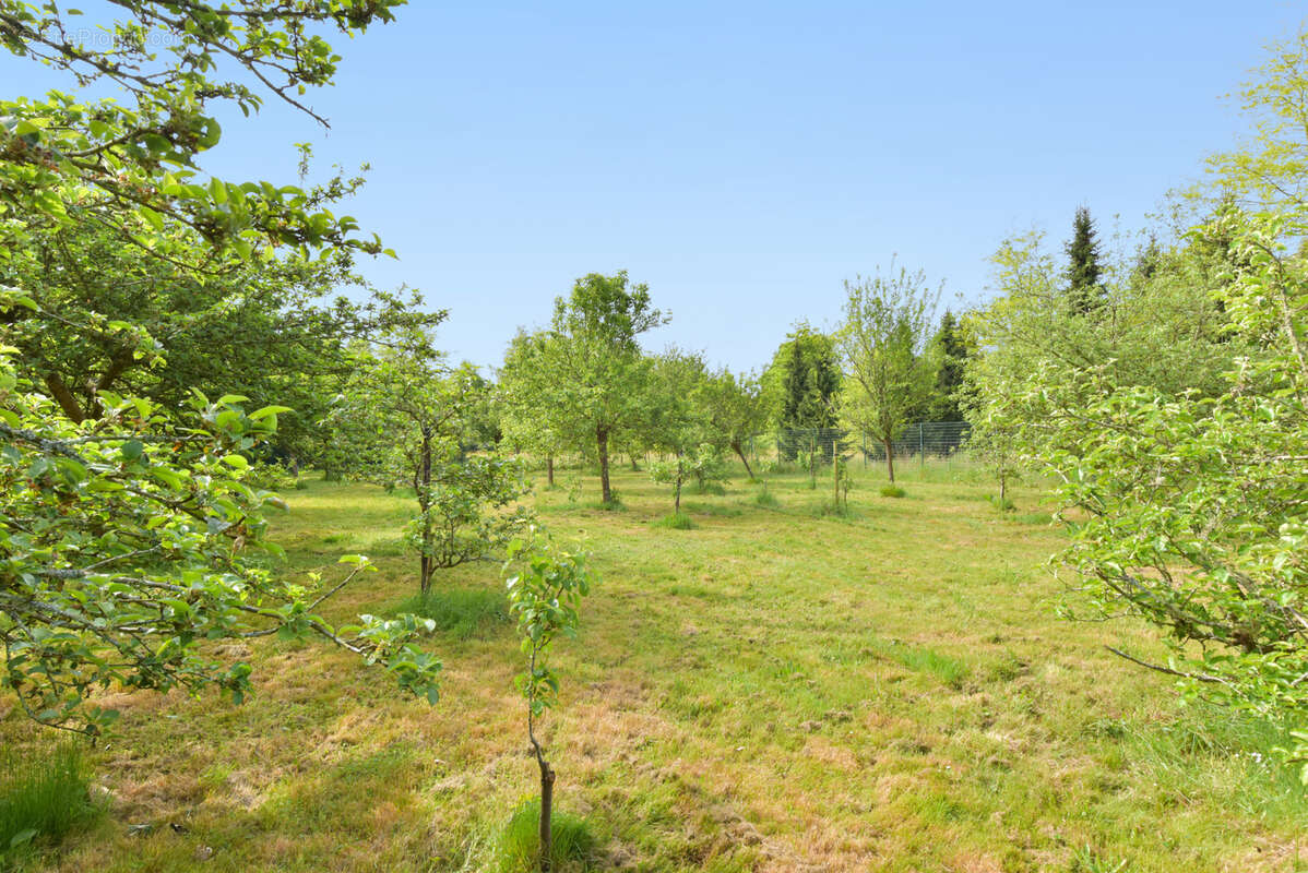Maison à LA BAULE-ESCOUBLAC