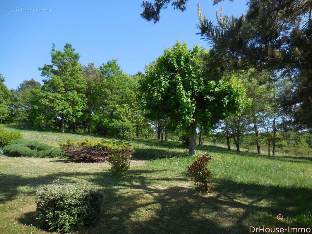 Maison 79 m² à Bellefonds  - photo 8