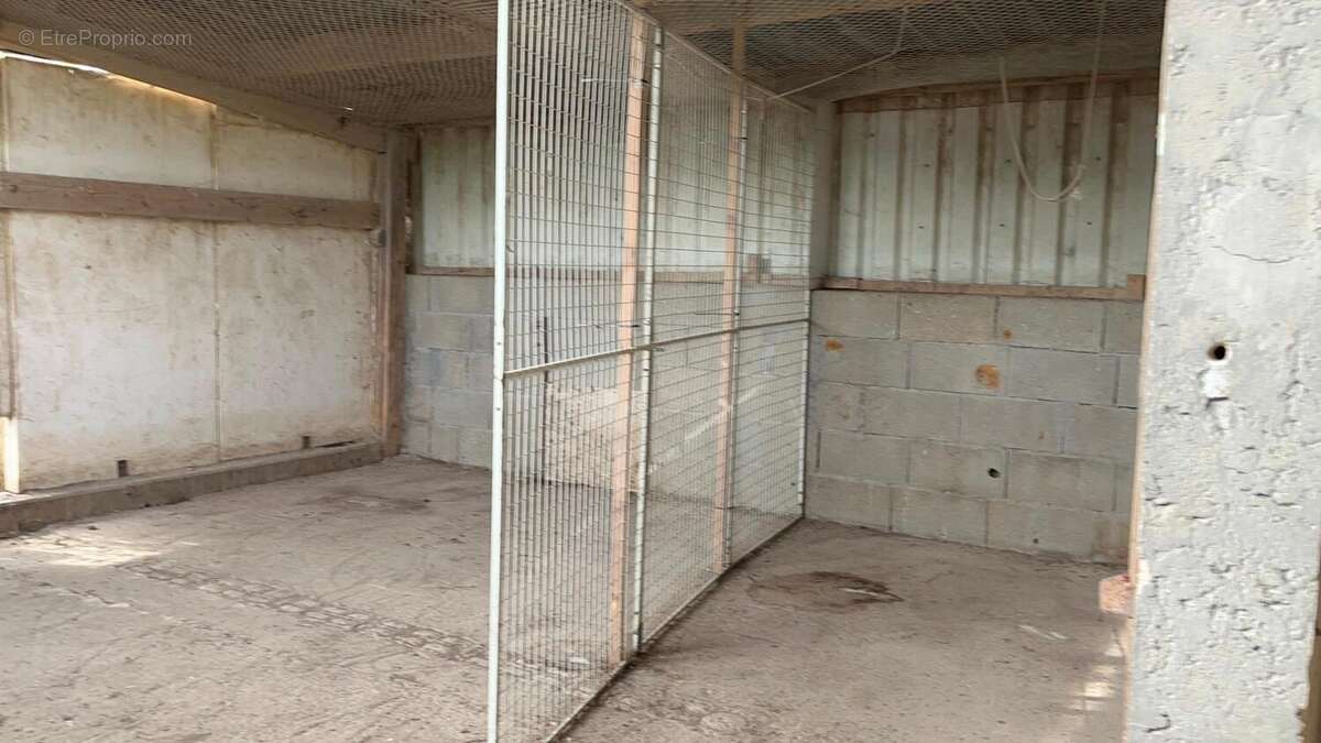 Photo 4 - Maison à SAINT-DIDIER-D'AUSSIAT