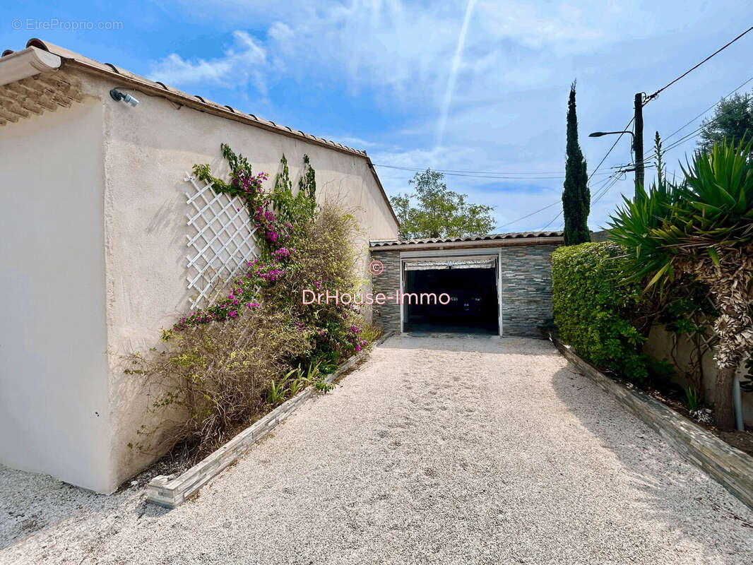 Maison 1004 m² à Marseillan  - photo 13