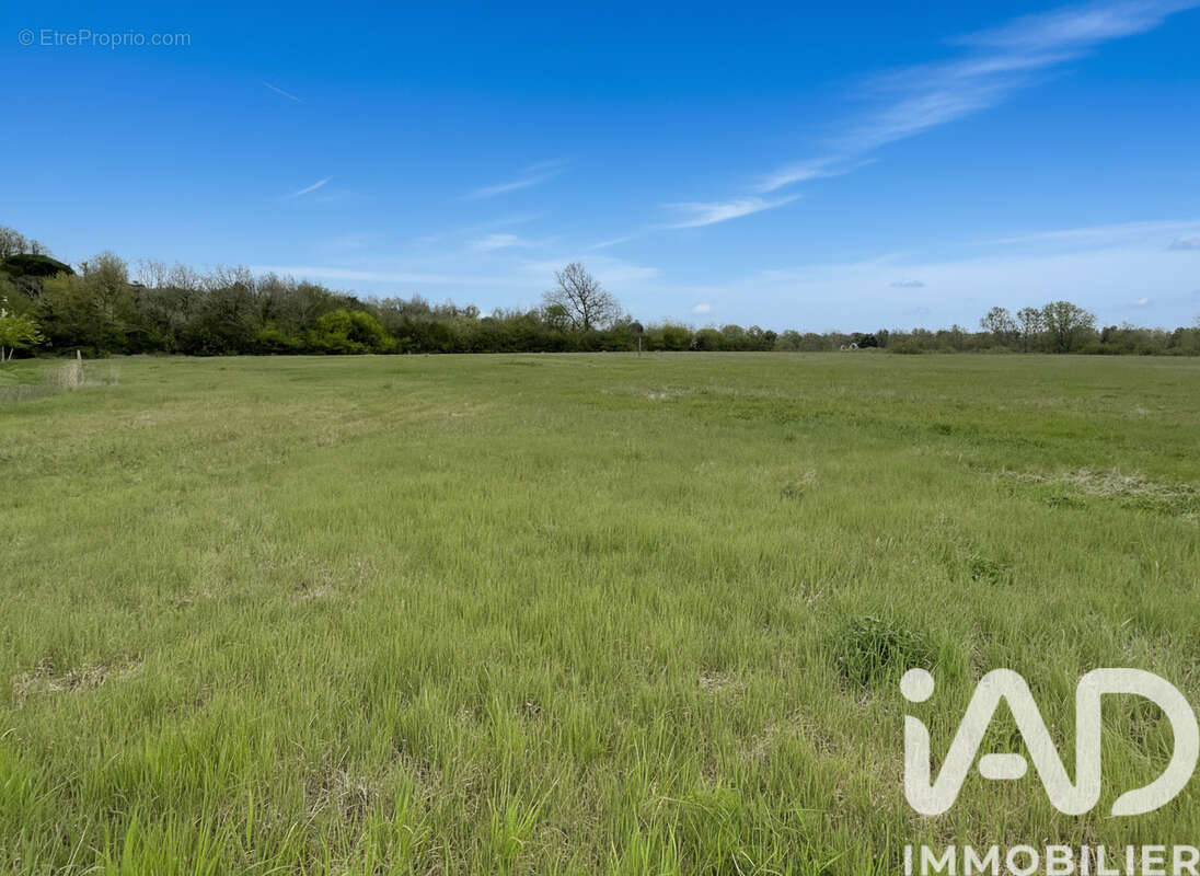 Photo 3 - Terrain à LAFOX