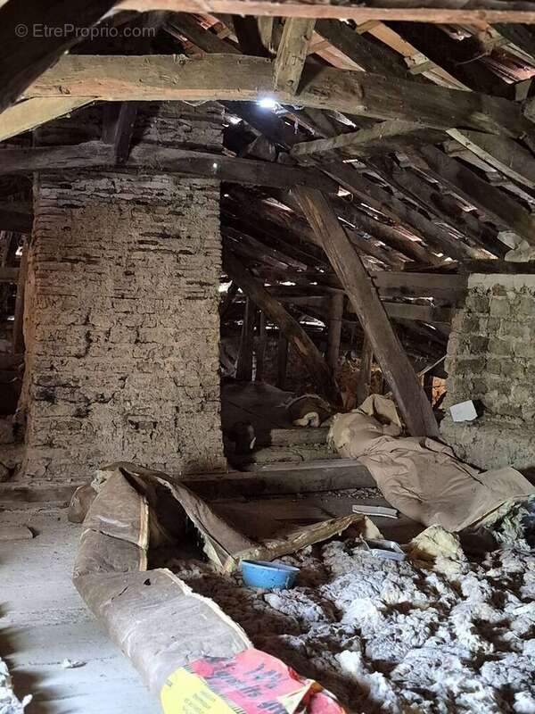 À vendre, proche de Tarbes (Hautes-Pyrénées): maison de plain-pied (ancienne fermette) à rénover avec grenier, garage, cour priv - photo 18