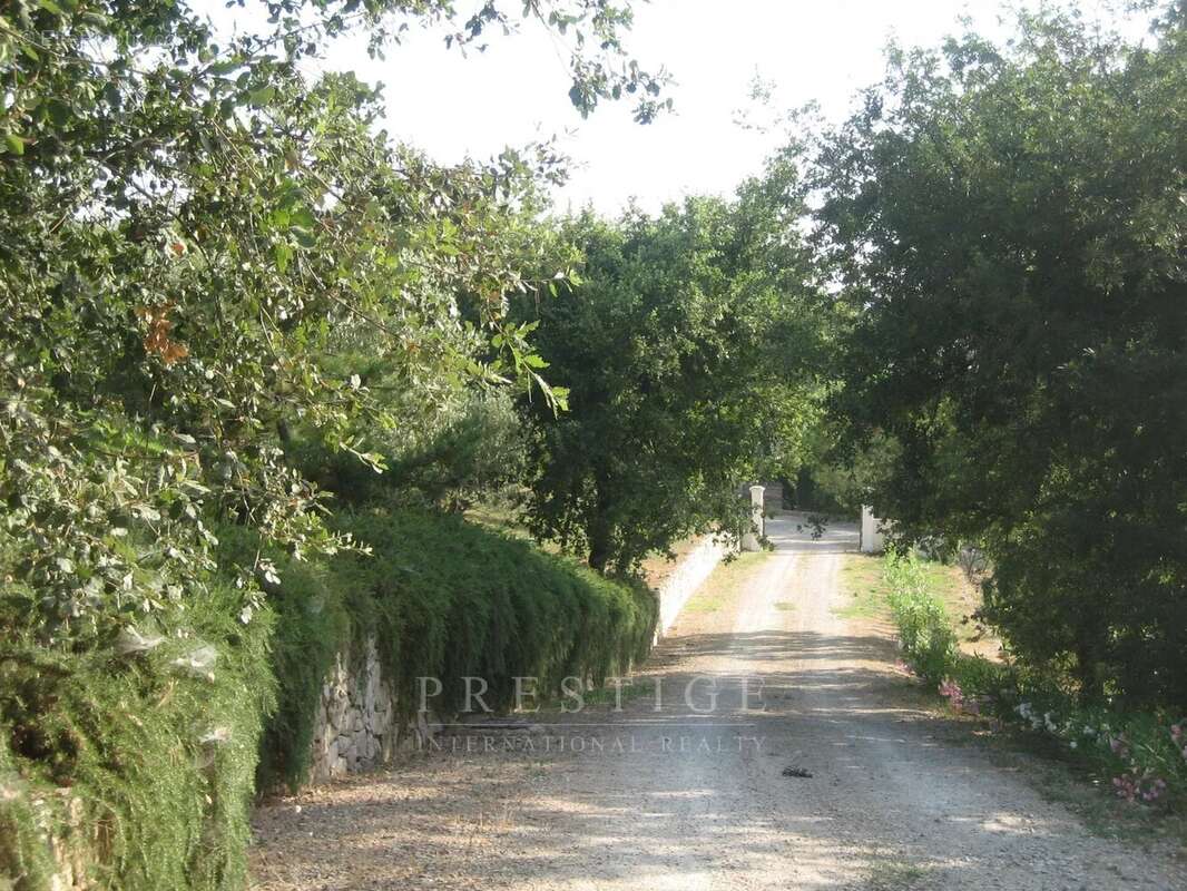 Chateauneuf de grasse, terrain 3300m² à batir, avec PC pour villa contemporaine,  calme absolu - photo 2