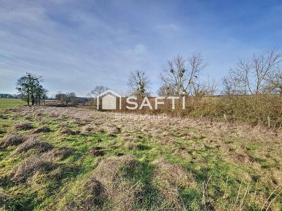 Photo 3 - Terrain à PULLIGNY