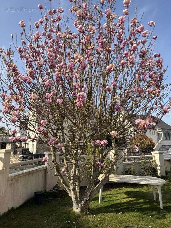 Maison à SAINT-MARTIN-DES-CHAMPS