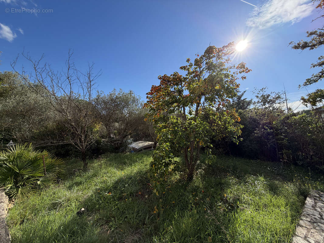 Maison à SAINT-MAXIMIN-LA-SAINTE-BAUME