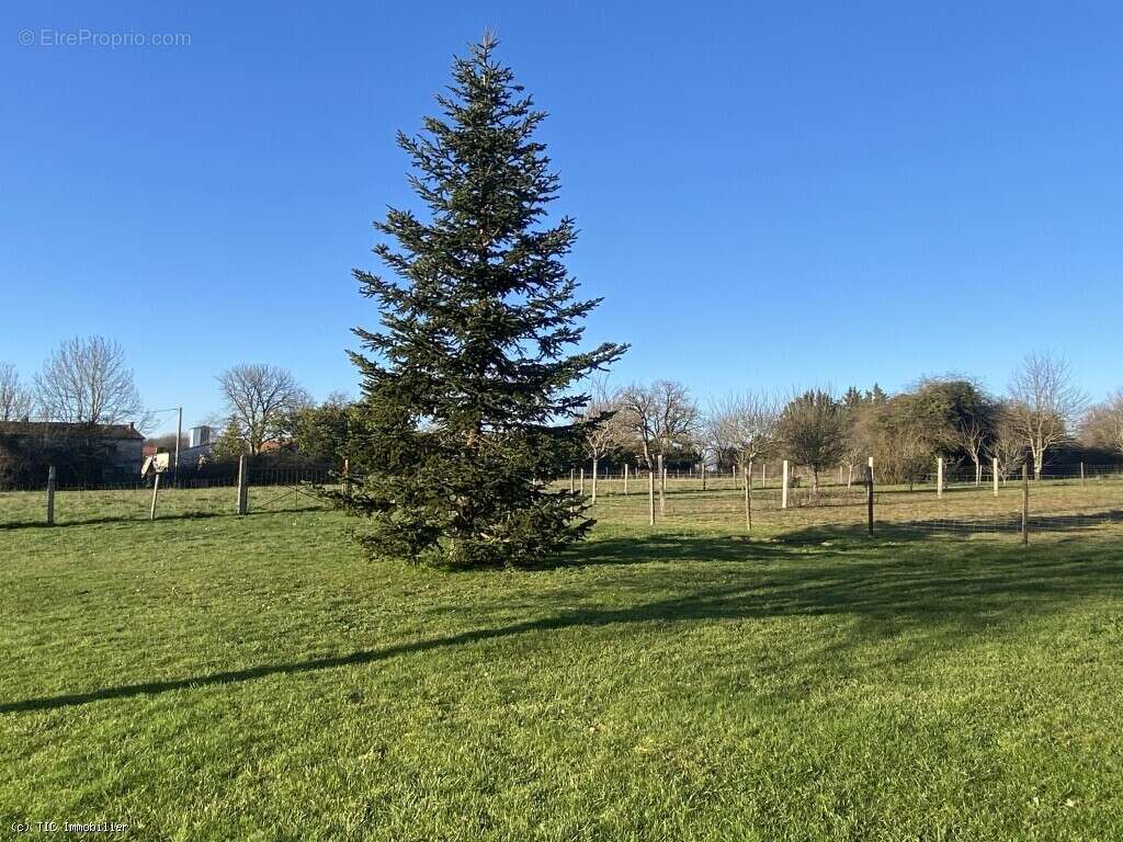 Maison à VILLEFAGNAN