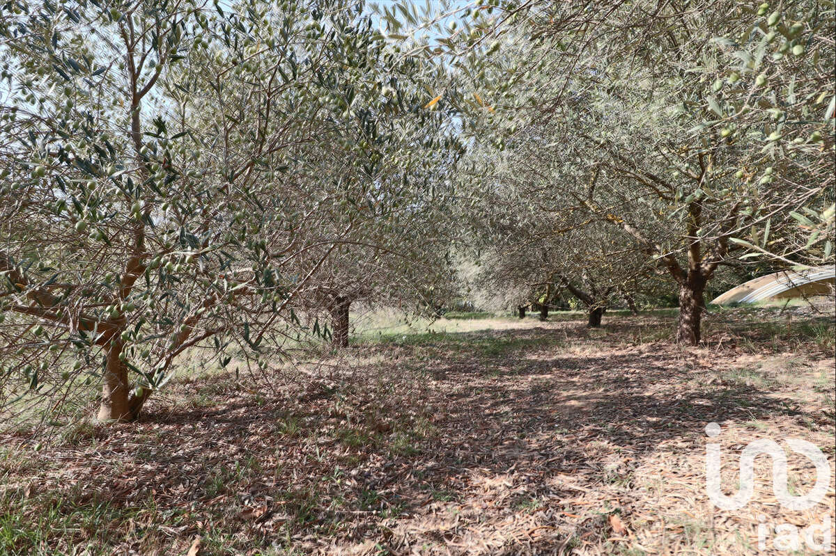 Photo 3 - Maison à POURRIERES