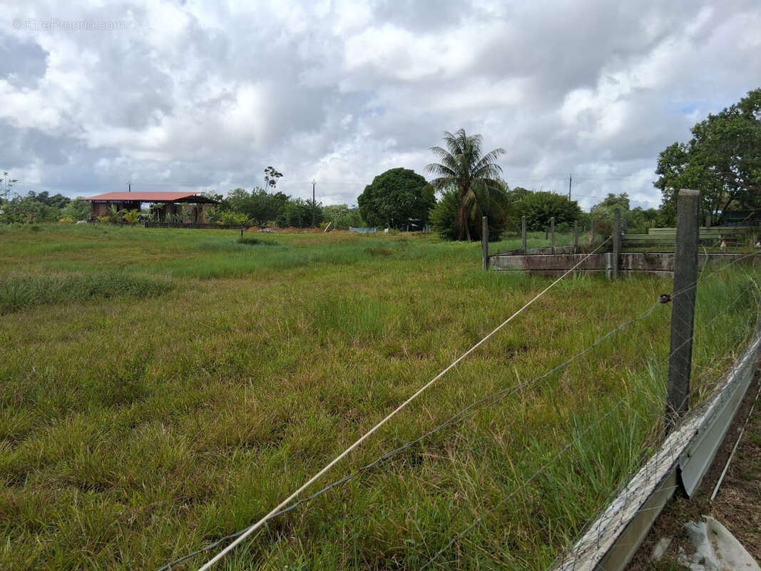 Terrain à KOUROU