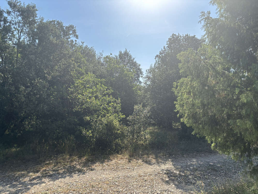 Terrain constructible 2000 m2 Saint-Martin-de-Pallières - photo 3