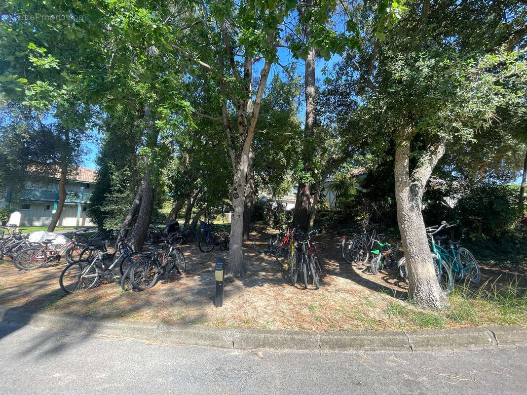 Appartement à MOLIETS-ET-MAA