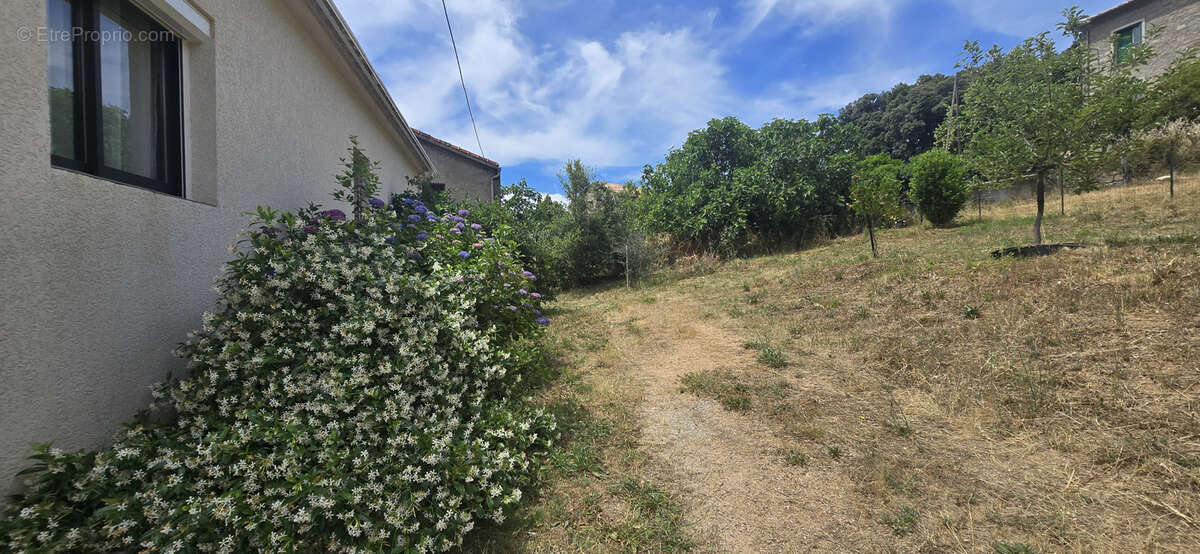 Villa  au calme Petreto Bicchisano - photo 14