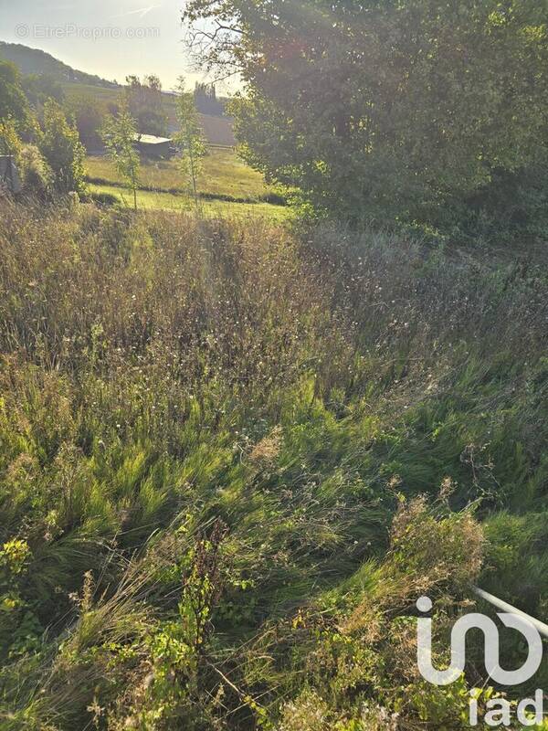 Photo 1 - Terrain à DORMANS