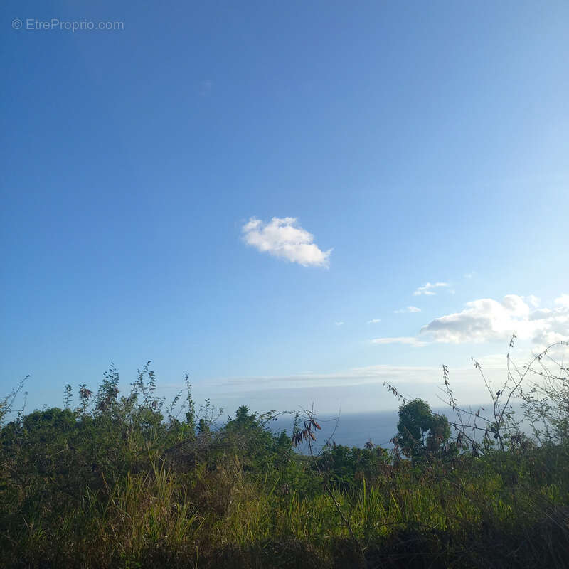 Terrain à VIEUX-HABITANTS
