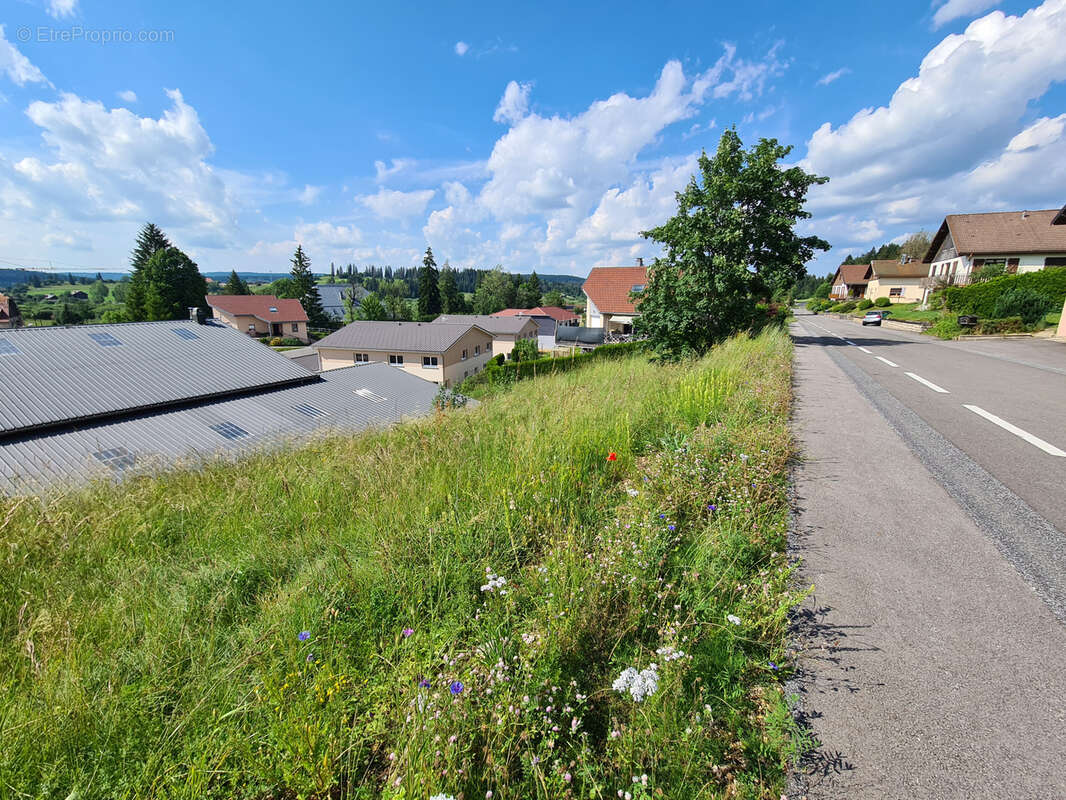 Terrain à LABERGEMENT-SAINTE-MARIE