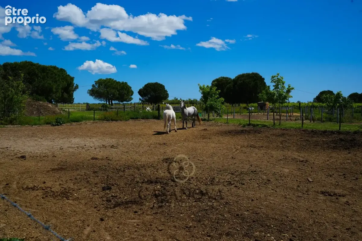 Mas Camarguais de 250 m² sur 2.6 hectares de terrain proche de Montpellier - photo 18