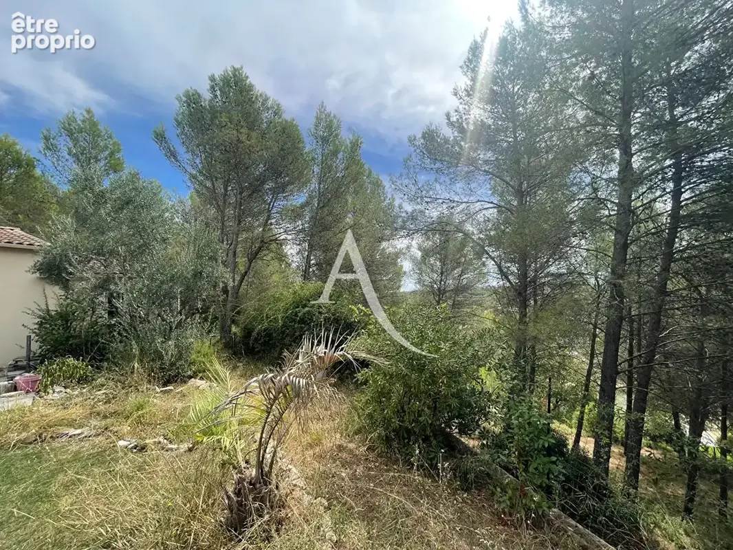 Grabels - terrain unique de 1 148 m² au coeur de la pinède - photo 4