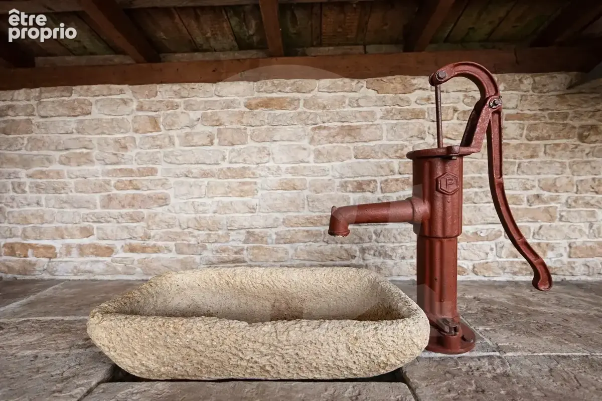Maison 8 pièces 275 m² à vendre à Arthaz-Pont-Notre-Dame (74380) - photo 3