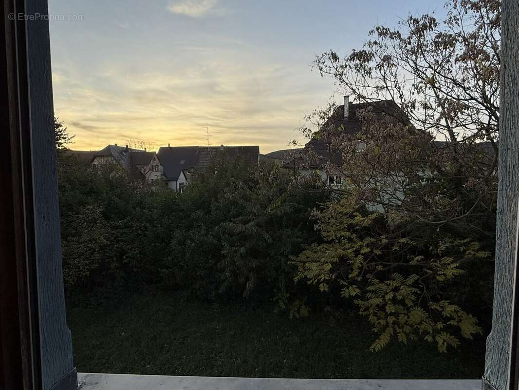 Appartement à MITTELWIHR