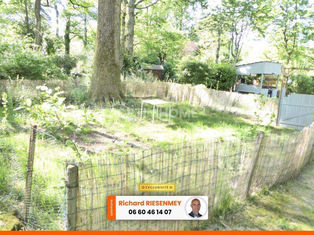 Chalet 45m² confortable avec jardin aménagé en camping - photo 13