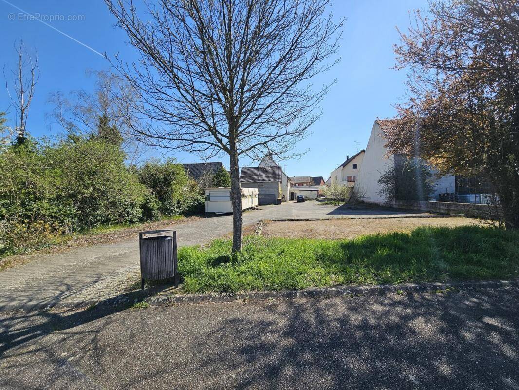 Appartement à OTTMARSHEIM