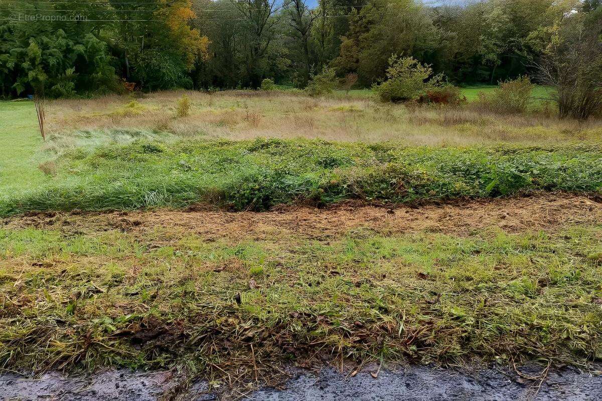 Terrain à LESCURE-D'ALBIGEOIS